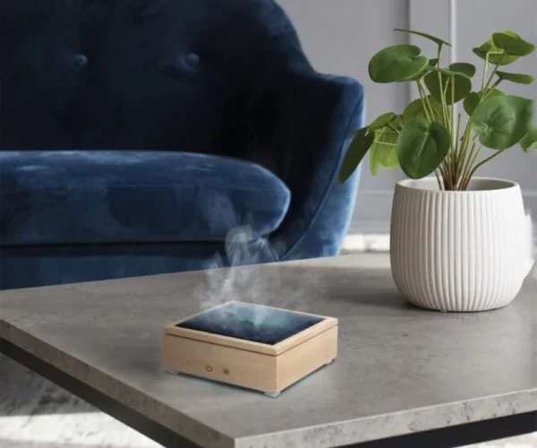 571E44B5-31D3-4803-8DF7-28B1F487E768__Bild2-1-1